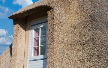Cowley Peachy thatch roof disadvantages
